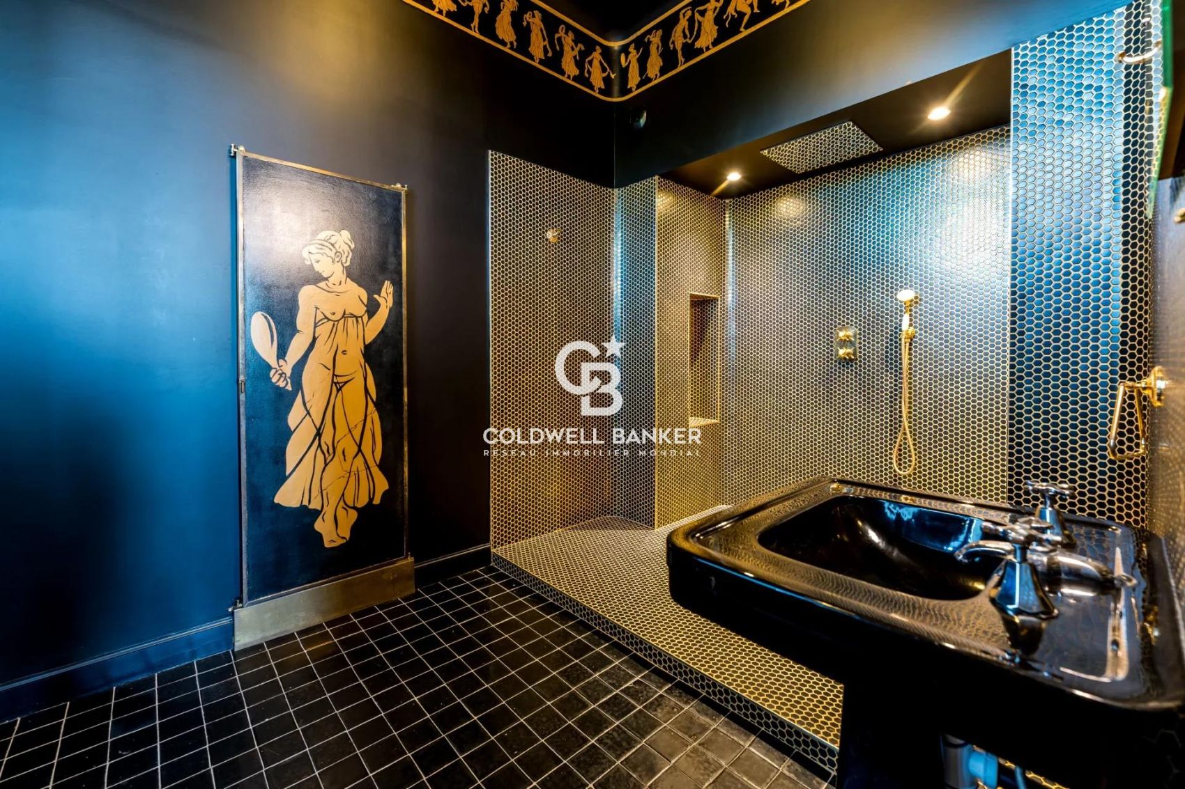 acheter un château en Anjou avec 12 suites pour un projet immobilier d'exception