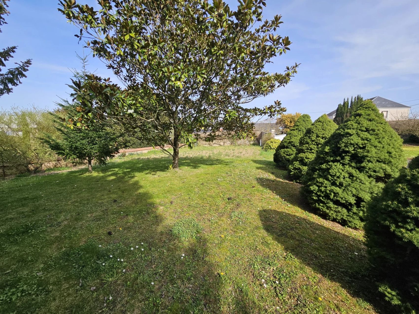 Hôtel particulier à vendre en sarthe avec un magnifique parc piscinable