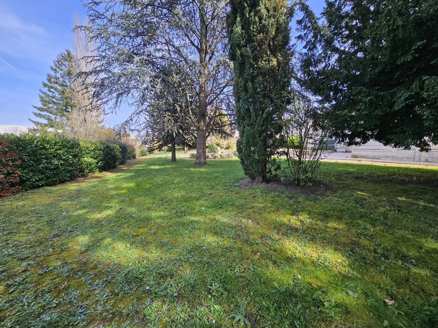 propriété avec un parc arboré à vendre en sarthe