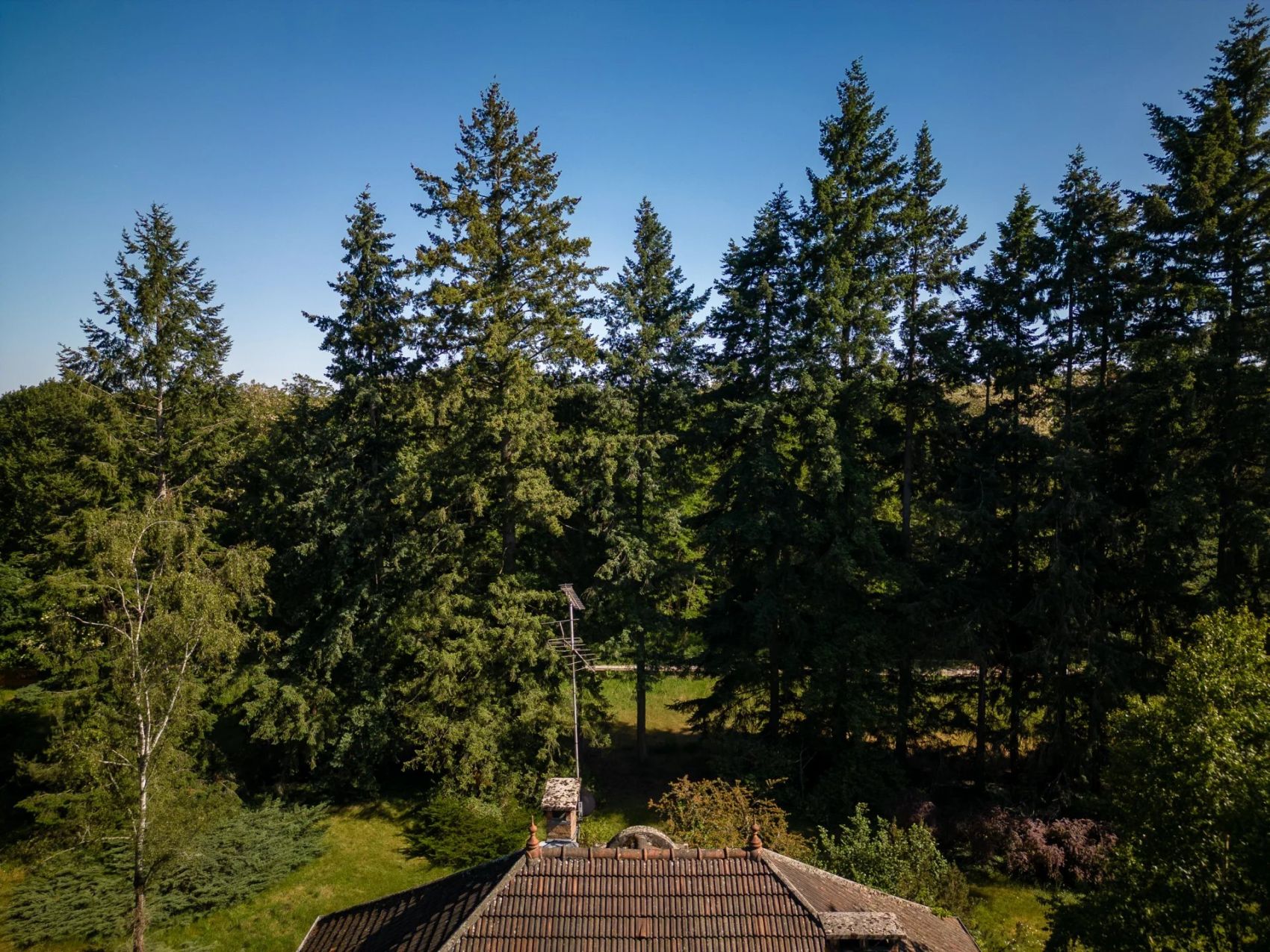 immobilier seine et marne appartement à vendre proche de fontainebleau