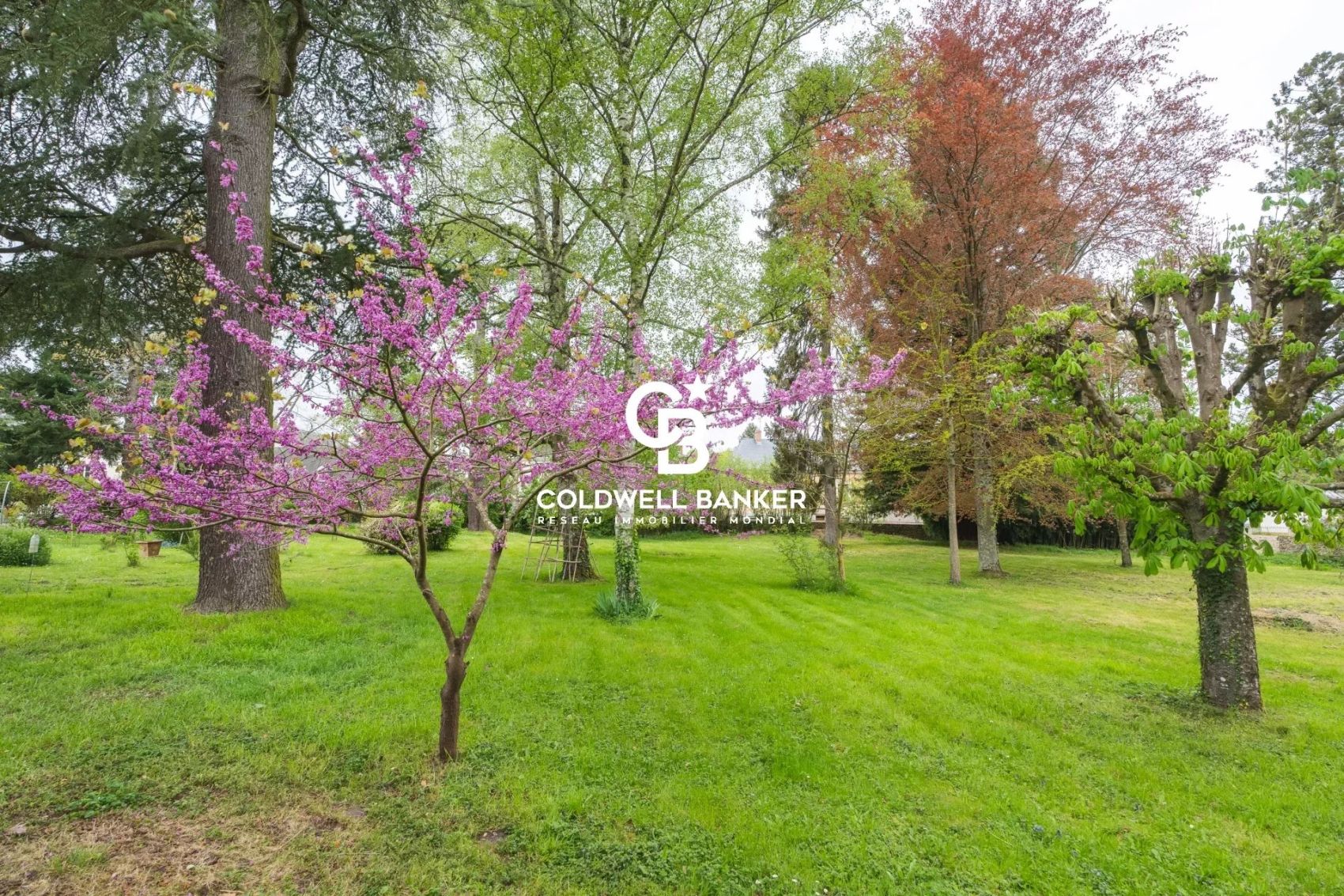 acheter un château en sarthe avec une rivière
