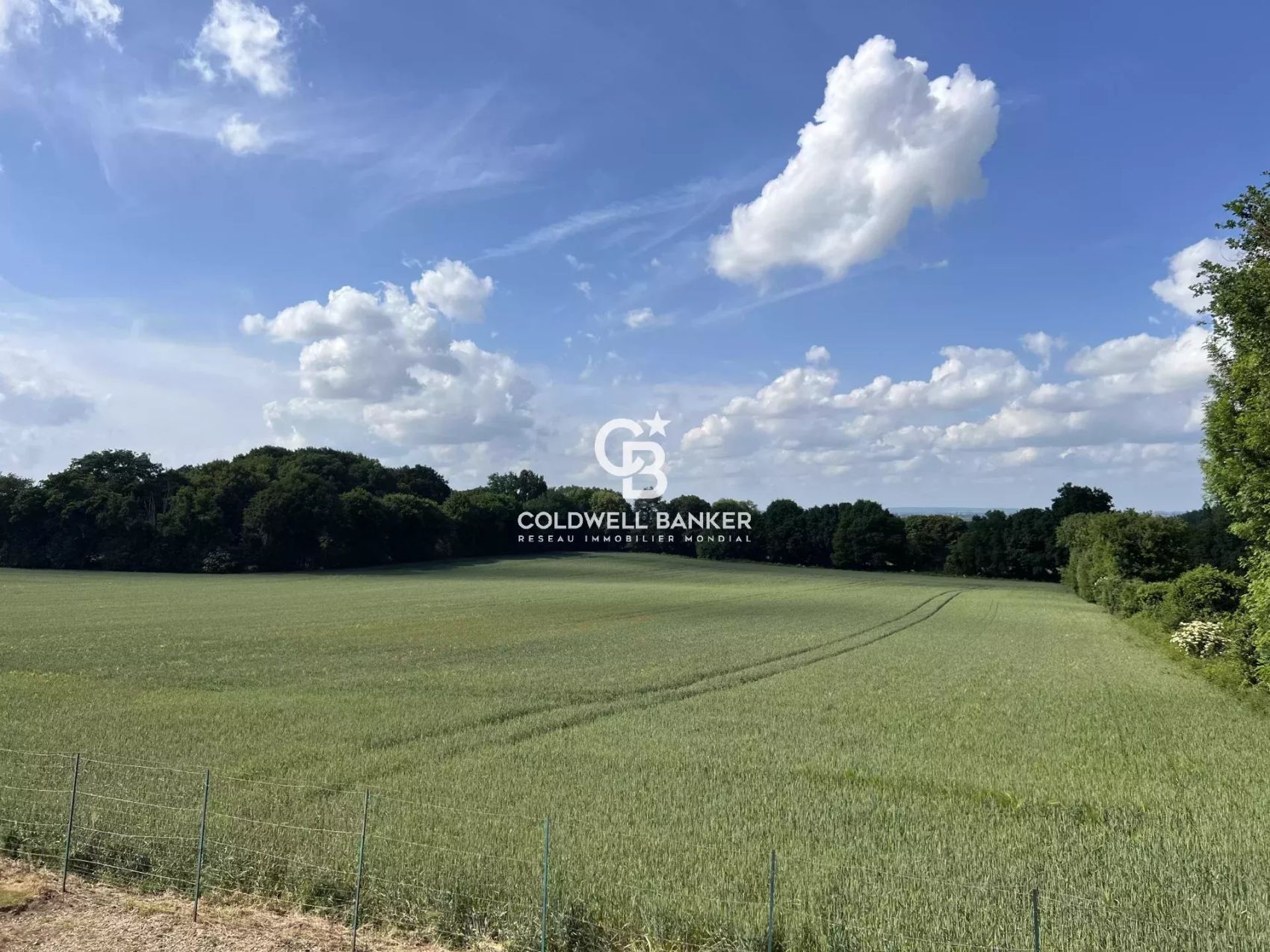 agence immobiliere le mans et la sarthe - acheter une maison