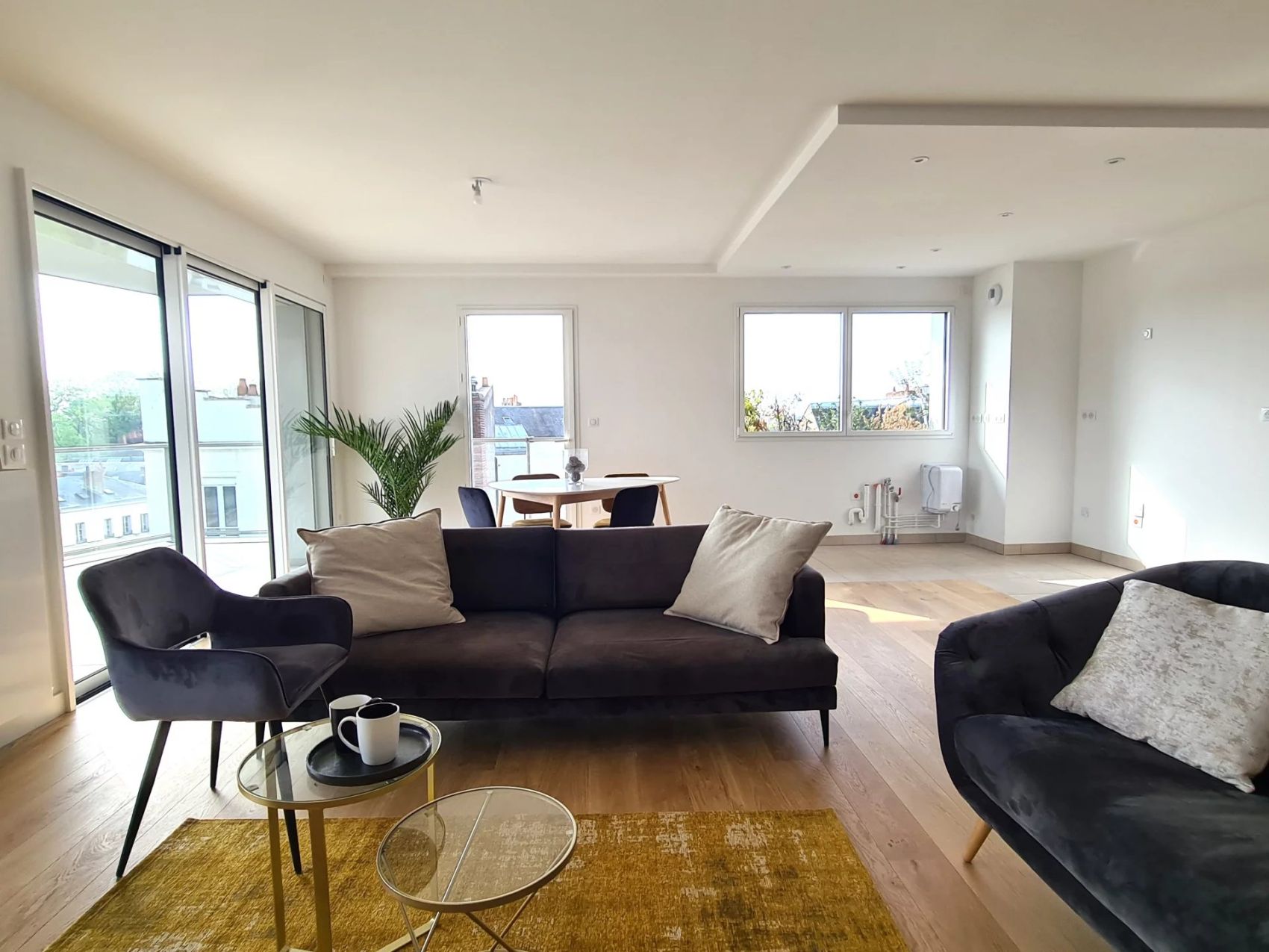 acheter un appartement en centre ville du mans avec une terrasse et une vue dégagée