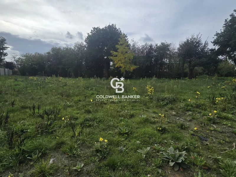 acheter un terrain constructible proche du mans